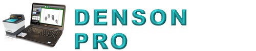 Denson Protective Services